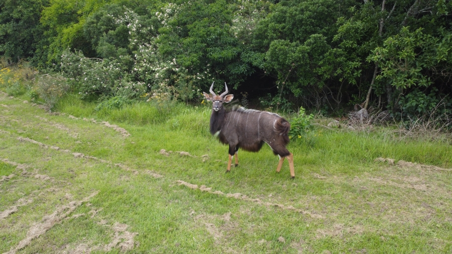 0 Bedroom Property for Sale in Gonubie North Eastern Cape